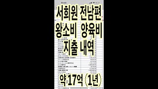 왕소비 서희원 양육비, 생활비지출 내역 약 17억 (년)