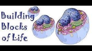 EVERYTHING You Need to Know About Cells: What ALL Living Things are Made from. SC 6-LS1-1