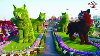 LUXURY APARTMENTS FOR SALE | Dubailand Residence Complex (DLRC) | Dubai | UAE | Ph : +971 50 8700872