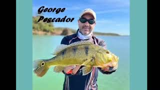 PESCARIA DE TUCUNARÉ AMARELO MUITA AÇÃO O CARDUME ESTAVA NA NOSSA FRENTE E TEVE PEIXE FRITO.