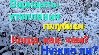 Варианты утепления голубики.