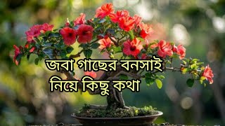 How To Make Bonsai Hibiscus Plant At Home In Pot / How To Soil Making For Bonsai Plant