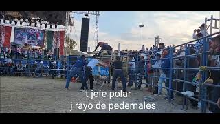 jefe polar de destructores con rayo de pedernales en jicamas guanajuato