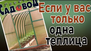 Если у вас только одна теплица