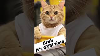 Meow… Bruh it’s Gym Time #naruto #nahid #cat #pet #gym #srbee