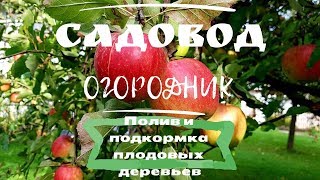 Полив и подкормка плодовых деревьев