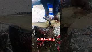 amazing catfish cutting video #ytshorts #viral #shortsvideo #youtubeshorts #fish #fishing