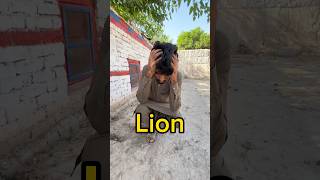 Big lion 🦁 naraz ho Gia #minizoo #lion