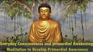 Class 8, Everyday Consciousness and primordial Awakening: Meditation to Develop Primordial Awareness