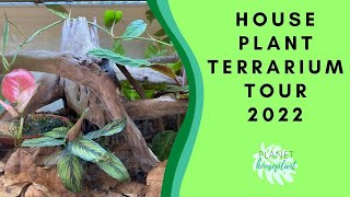 House Plant Terrarium Tour 2022