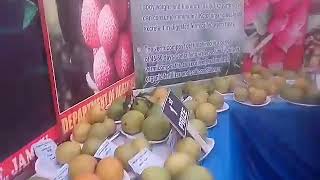 jhiri mela|| jhiri mela view 2017|| jhiri mela jammu||