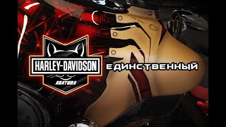 HARLEY DAVIDSON — УНИКАЛЬНАЯ ТАКТИЛИЗАЦИЯ