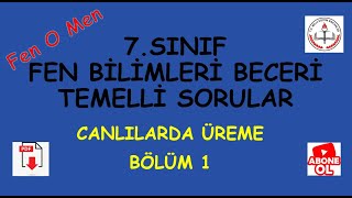 7.SINIF FEN BİLİMLERİ MEB BECERİ TEMELLİ SORULAR BÖLÜM 1 - CANLILARDA ÜREME BÜYÜME VE GELİŞME