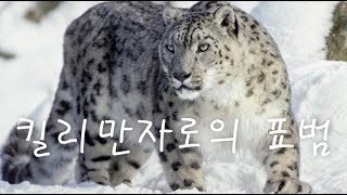 킬리만자로의 표범 The Leopard of Kilimanjaro