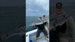 Bonito and Barracuda Fishing in Florida