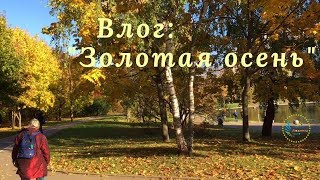 ВЛОГ: Гуляем в парке /Золотая осень 16.11.2018