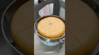 Gouda cheese cutting machine