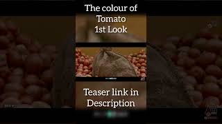 The colour of Tomato First Look