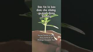 Hê-bơ-rơ 11:1 (BD2011) Hebrews 11:1 (ESV) #bibleverses #baihoccuocsong #dailyaudiobiblevietnam