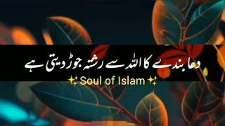 Nabi Pak ﷺ Ny Farmaya🤲🌺 Dua Allah ky Kareeb karti hy|Ajmal Raza Qadri|Soul of Islam #islamicstatus