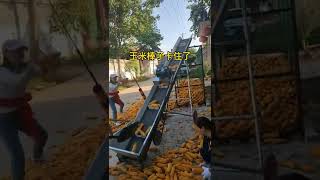 The upper cage of corn cobs does not need to be thrown high, which saves time and effort.