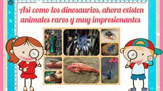 ANIMALES RAROS DEL MUNDO 🐾🦂🐙