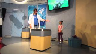 scientist siboney at science world