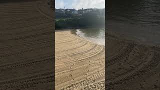 Clovelly beach this morning