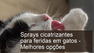 Spray cicatrizante para feridas em gatos - Melhores opções