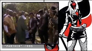 The Panthers and Black Nationalism | Black Power Media