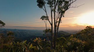 Exploring D’Aguilar National Park on gravel bikes