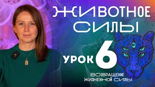 Урок 6 - Знакомство с Животным Силы. Марафон Возвращение Жизненной Силы