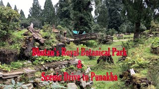 Bhutan's Royal Botanical Park and Drive to Punakha