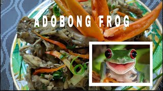 MY FIRST TIME | COOKING FROG WITH A TWIST | PAANO BA?