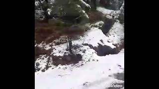 Snowfall Murree Pakistan 23 January 2021