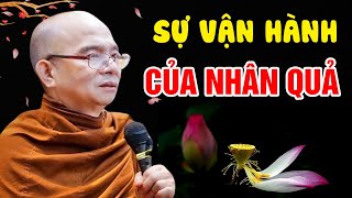 Sự Vận Hành Của NHÂN QUẢ...Gieo Nhân Nào Gặt Quả Nấy | Sư Toại Khanh - Sư Giác Nguyên