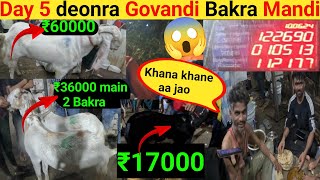 Day 5 || ₹17000 main 1bakra ||Govandi Deonar Bakra Mandi