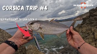 Shore Jigging méditerranée - Corsica trip [4] Des petites sérioles à GOGO !🔥