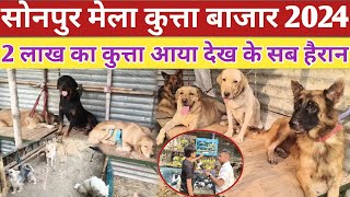 सोनपुर मेला कुत्ता बाजार 2 लाख का कुत्ता आया देख के सब हैरान || Sonpur Mela Dog Bazar sonpur Kutta