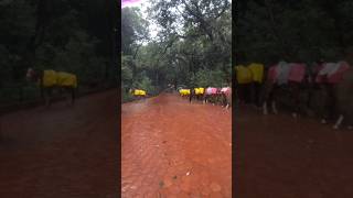 Matheran hill station #monsoon #beatiful #view #nature #travel  #matheran #matheranhills  #shorts