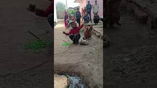 बसंती चली ससुराल /#viral #video #shorts #automobile