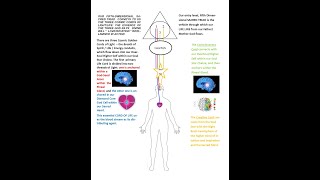 THE LAW OF POSITIVE RETURN