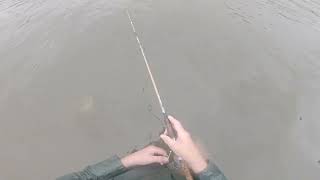 1950s Garcia Michael 304 think the diawa rod, from the 60s. with 2lb test