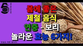 몸에 좋은 제철 음식 연중 - 보리 놀라운 효능 6가지!