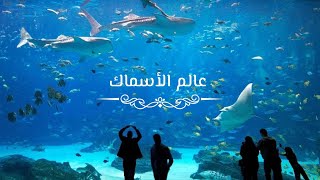 رحلة في الأكواريوم 💦 🐋 A trip to the aquarium