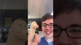 Finger-saurus, My Dinosaur Finger Buddy ☝️🦖