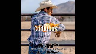 Mix De Puros Corridos De El Mayo Zambada