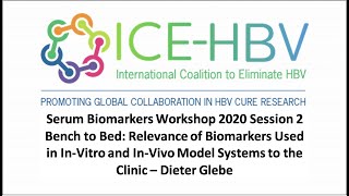 ICE-HBV Serum Biomarkers Workshop - Relevance of biomarkers used in model systems to the clinic