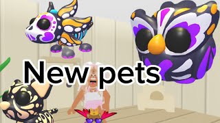 New update after the Halloween update ￼#adopt me ￼