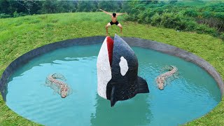 Build Most Tunnel WaterSlide To Killer Whales Swimming Pool Underground